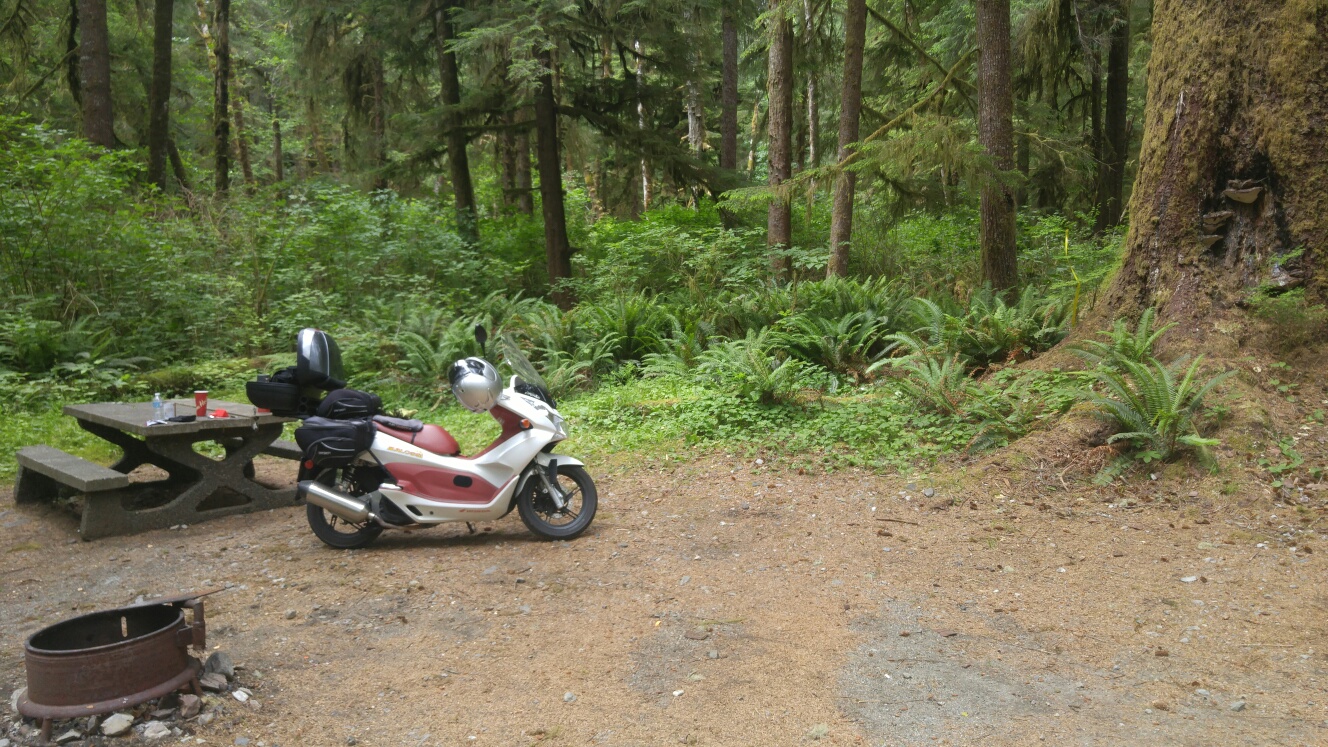 Fairy Lake Campground on the way to Port Renfrew