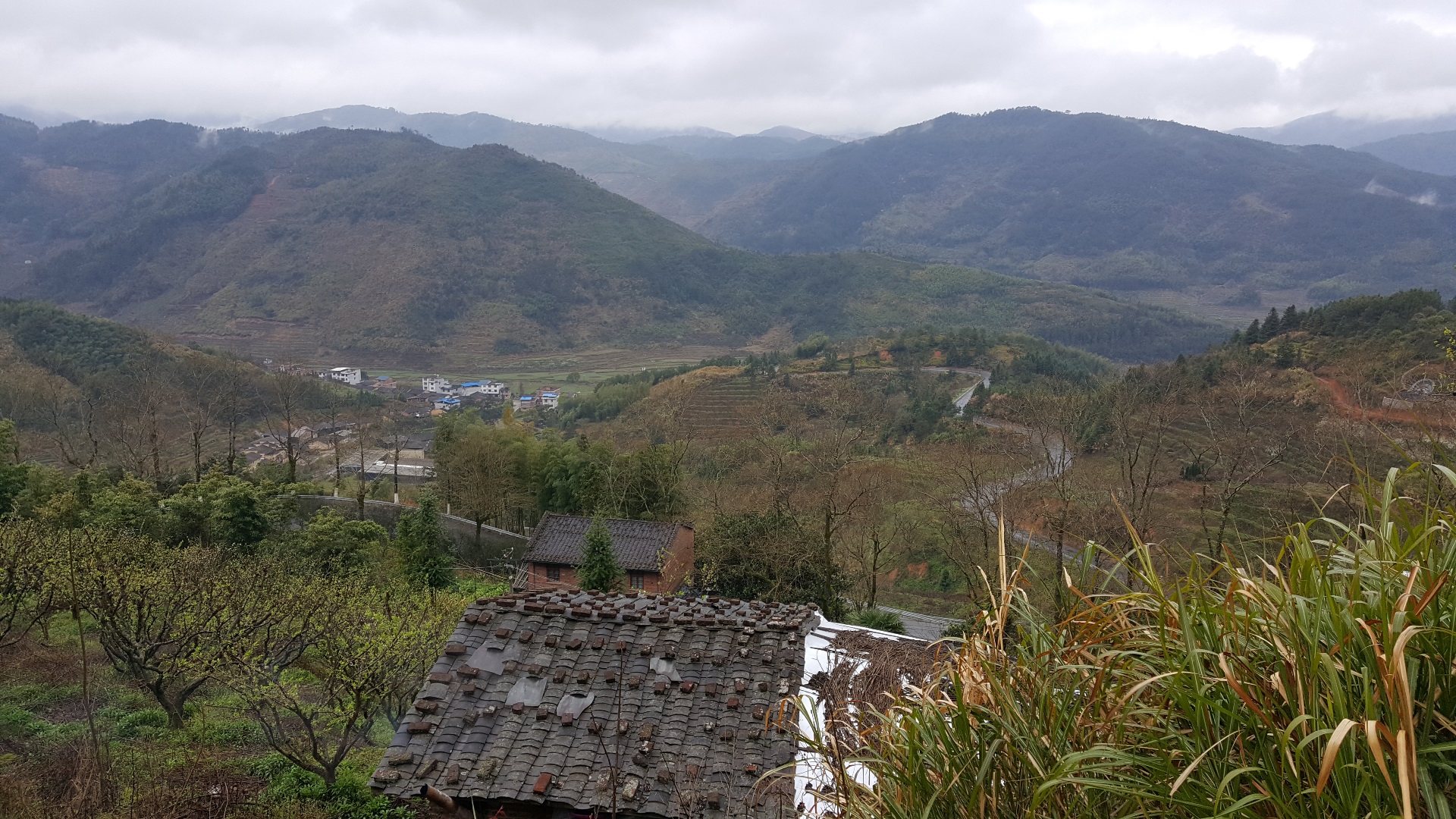 20170322_121521.jpg
