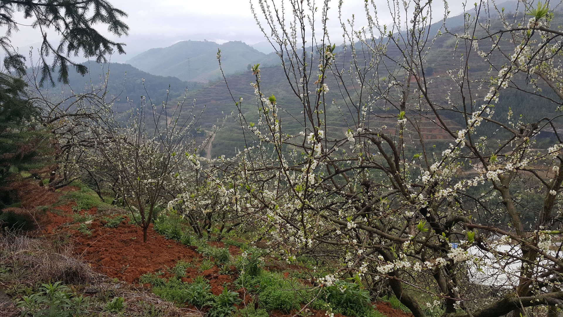20170323_102846.jpg