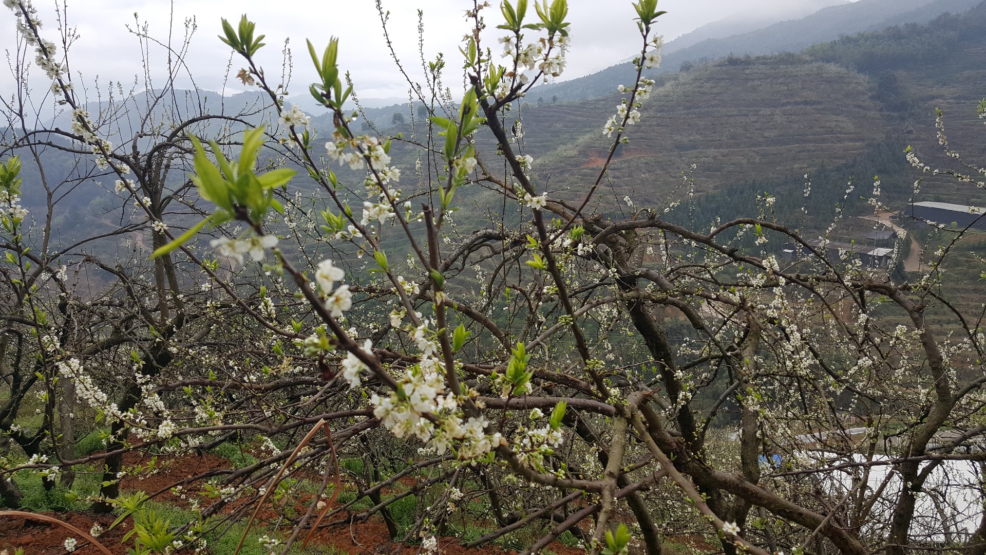 20170323_102921.jpg