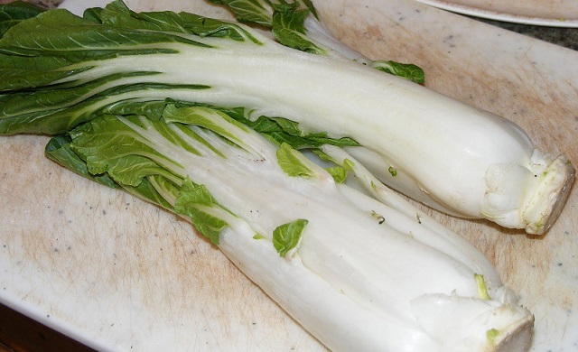 Bokchoy.JPG