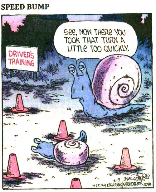 SpeedBump.jpg