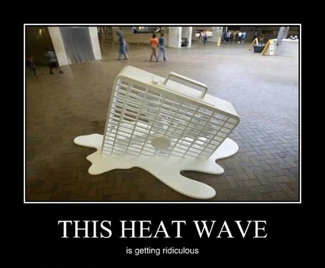 image.jpeg