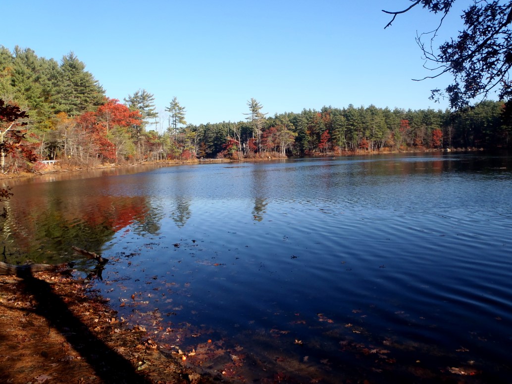 Autumn - 2015 -2.jpg