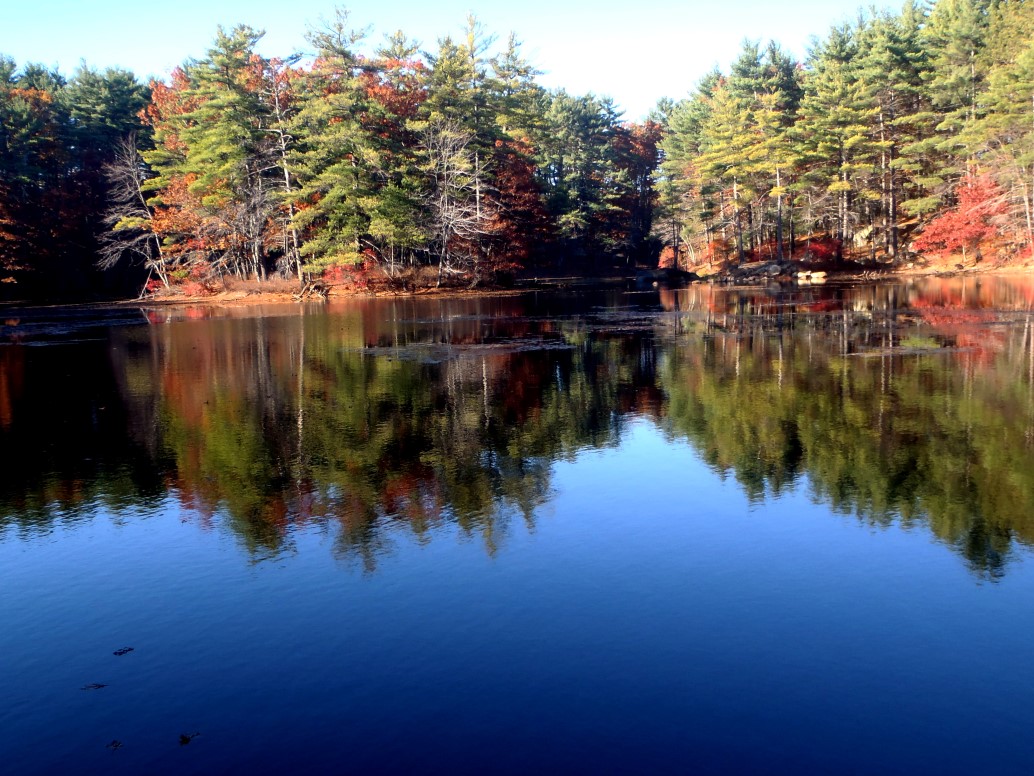 Autumn 2015 - 1.jpg