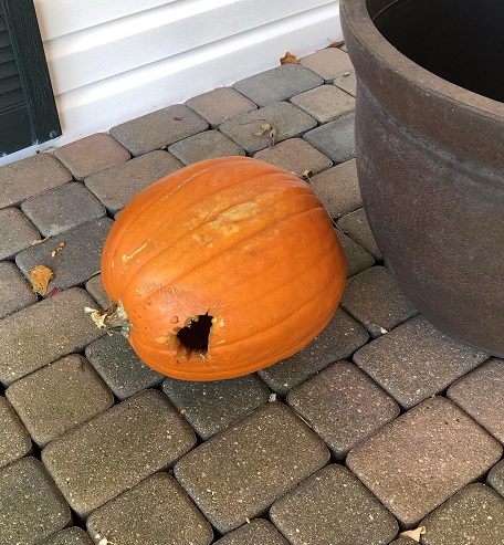 Pumpkin.jpg