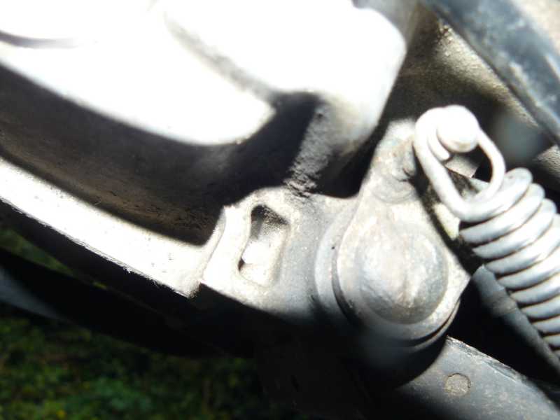 P1040998_WEB.jpg