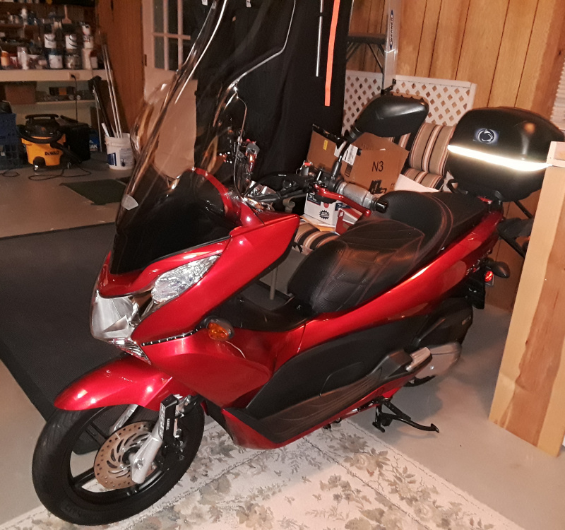 Freddi's Bike 2019.jpg