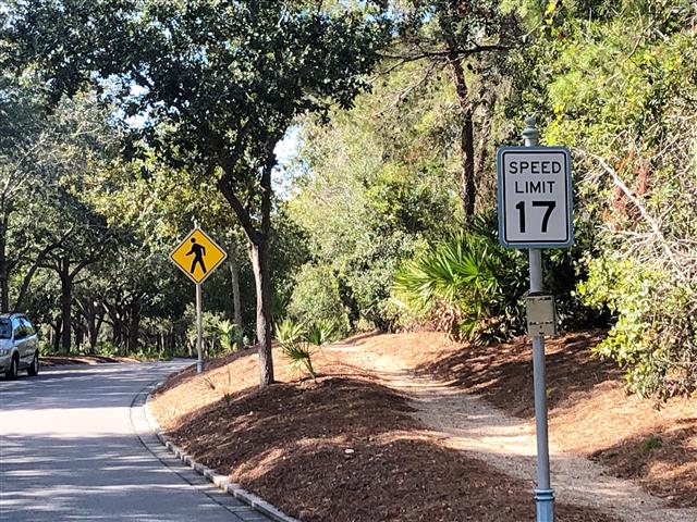 17mph (Small).jpg