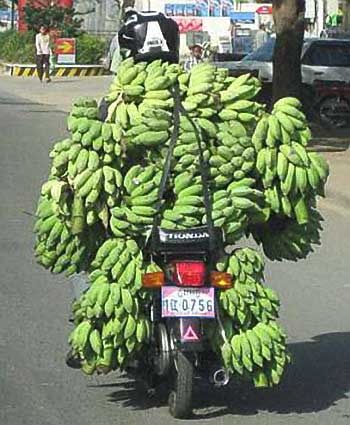Thats Bananas