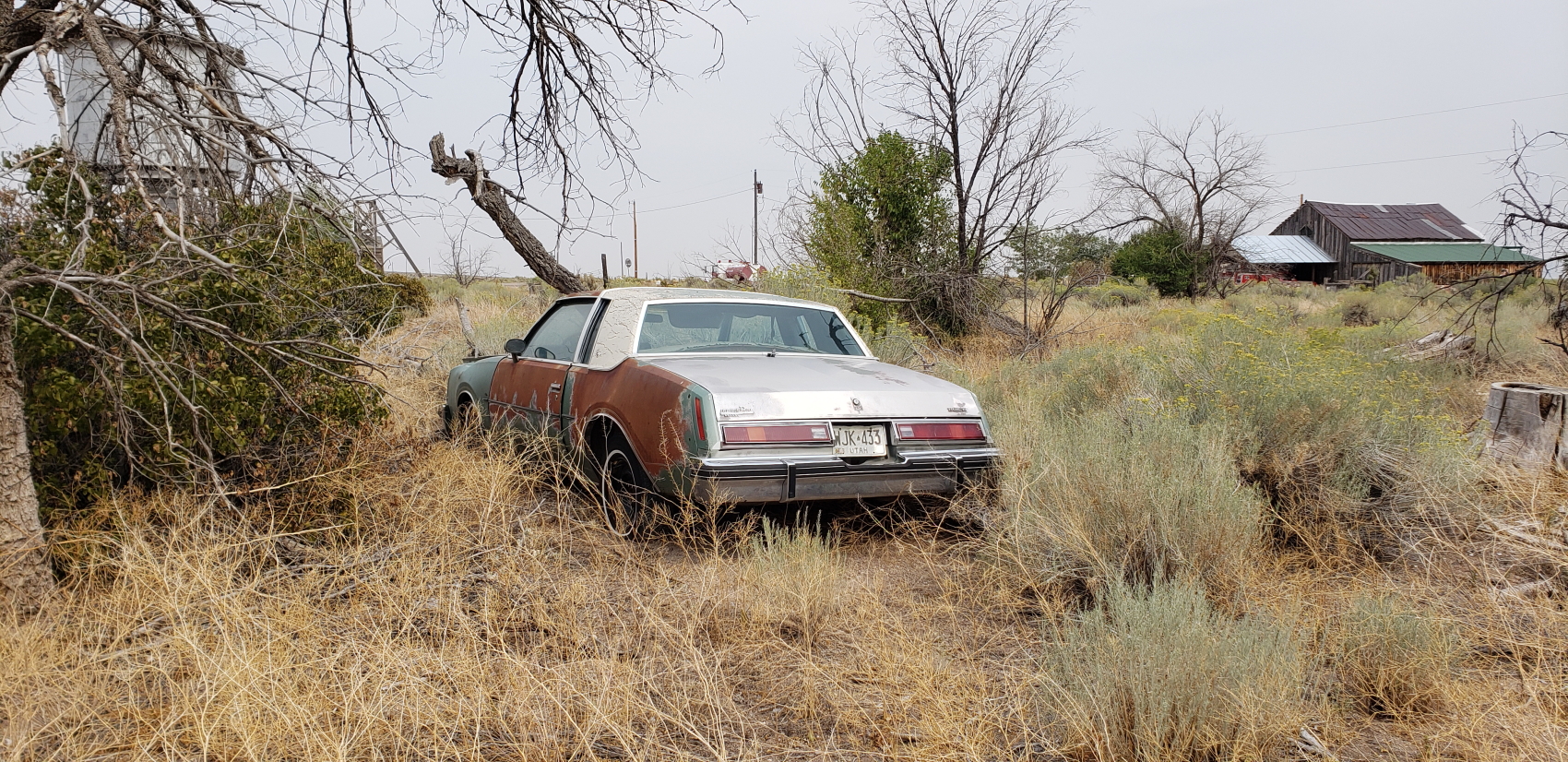 My brother bought his first car in 1998, it was an 85 buick Rivera. Classic American car. Amazing to see it as a vintage antique now. Time really goes by and I am only 40.