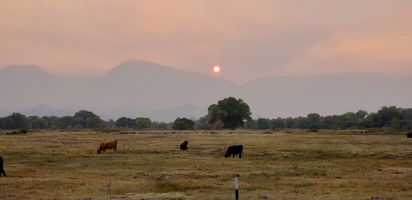 Some smoke in the air from forest fires.