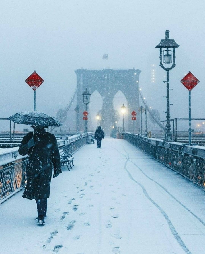 Brooklyn Bridge_copy_720x892.jpg
