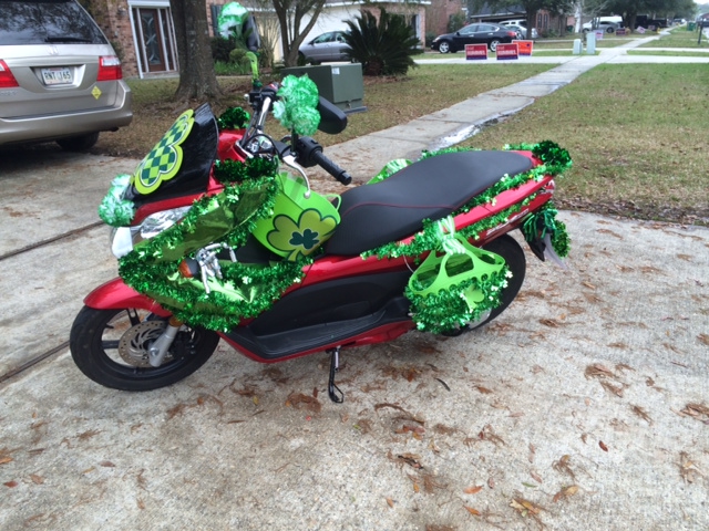 scooty st pats 2014.jpg