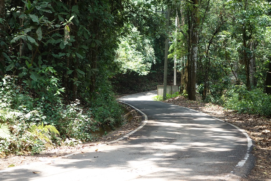 These roads went on for mile after mile