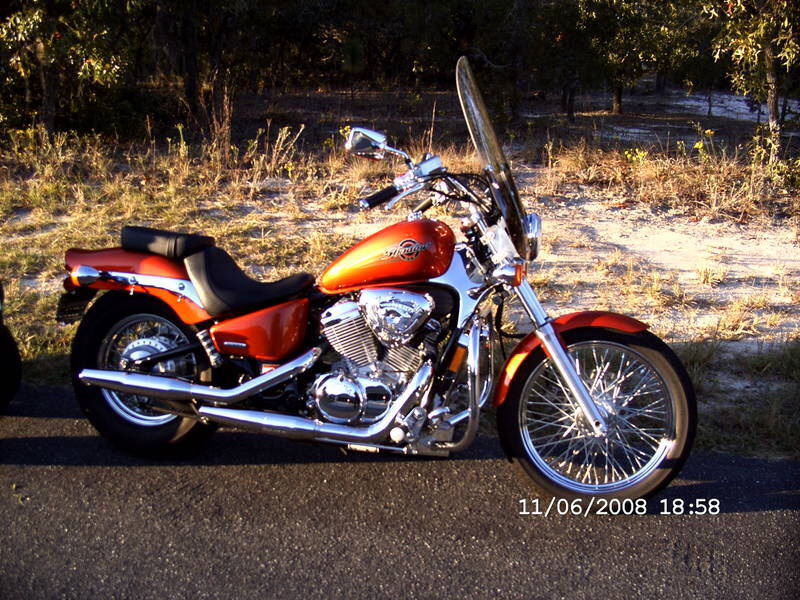 The radiator is long and narrow on the Shadow. It hangs lower than the front fender. Debris would get kicked up and into it