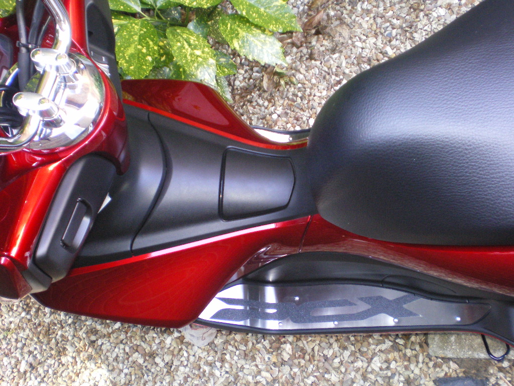 IMGP0449.JPG