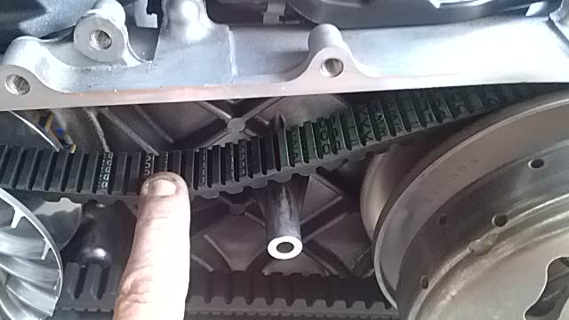 IMG_20141013_140341.jpg