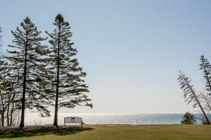 DSC_4131.jpg