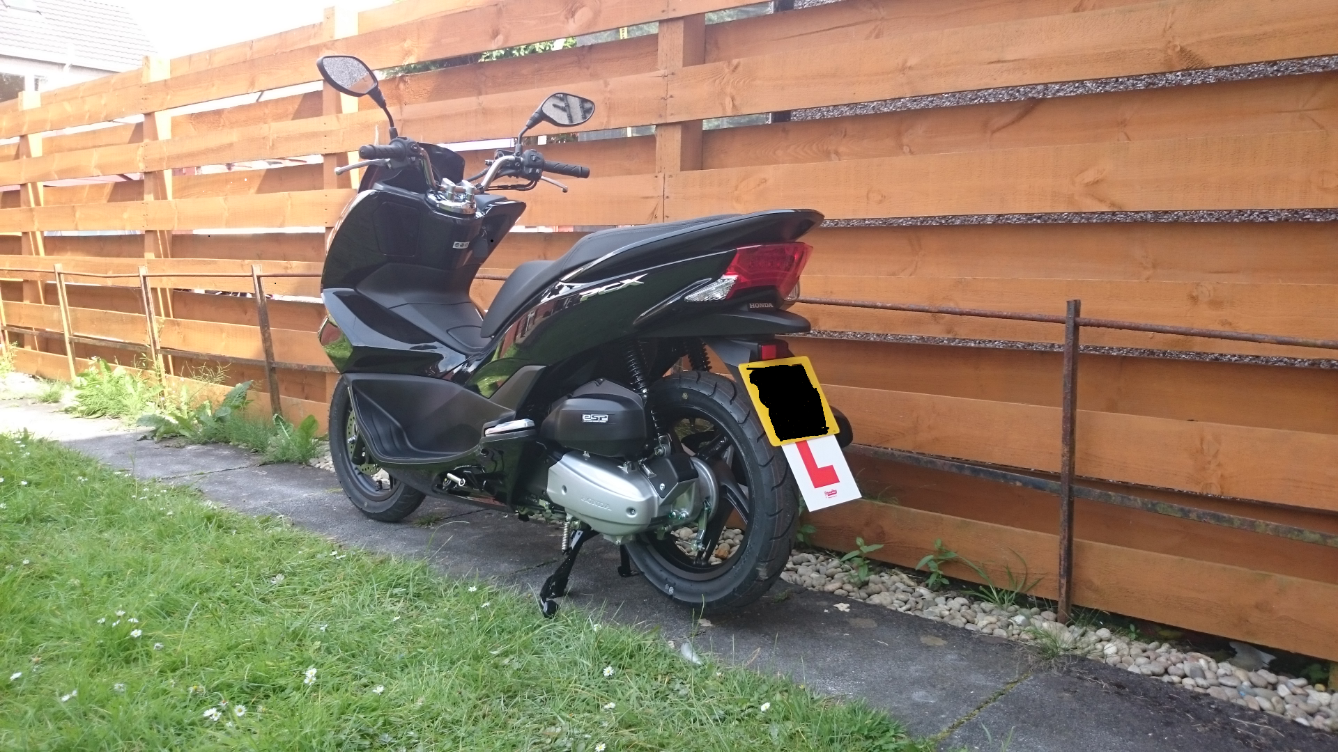 Scoot 1.png
