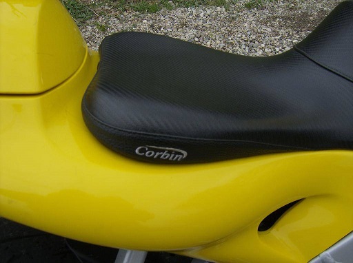 canary5.jpg