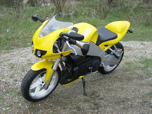 canary3.jpg