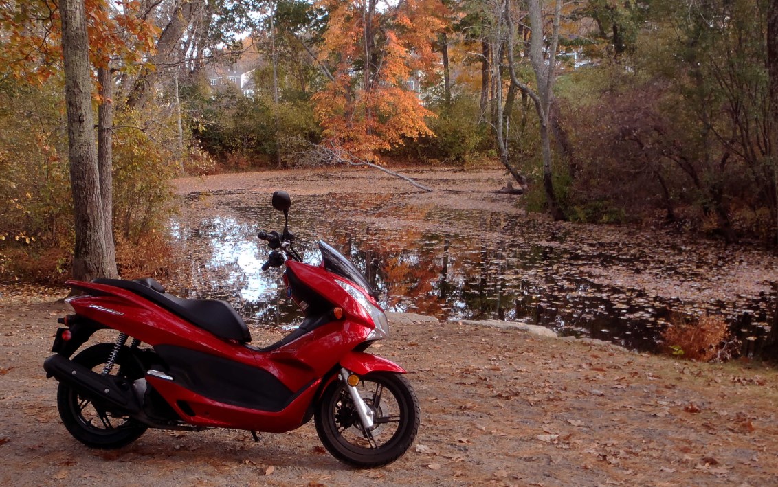 SCOOTER AT RIVER WALLPAPER.jpg