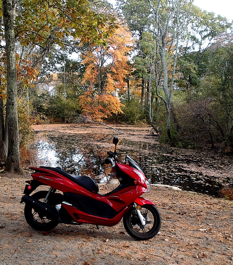 SCOOTER AT RIVER 2 cartooned_renamed_5883.jpg