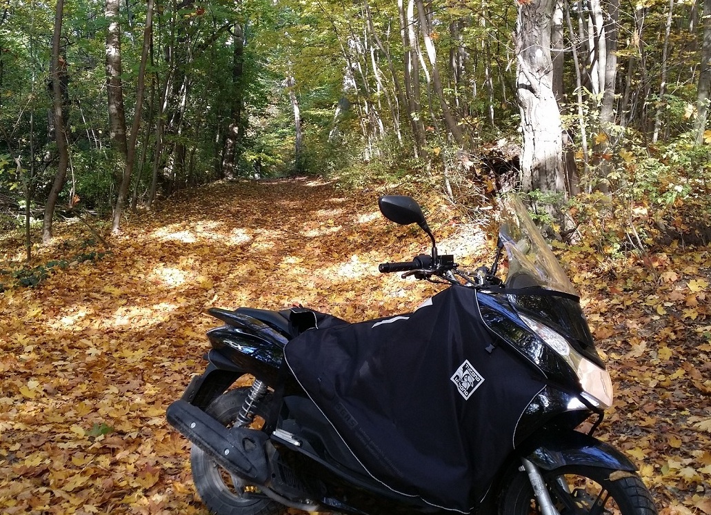 trail.jpg