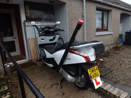 DSCF1313 (500x375).jpg